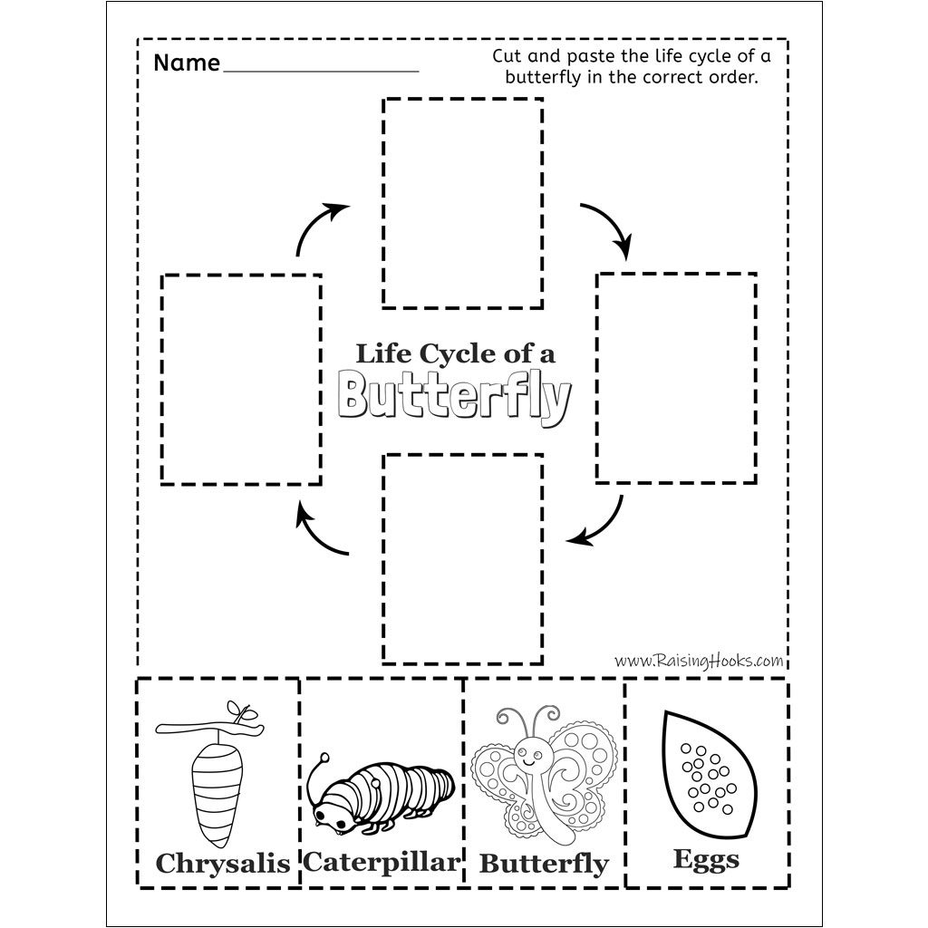 Life Cycle of a Butterfly - Cut and Paste - Raising Hooks