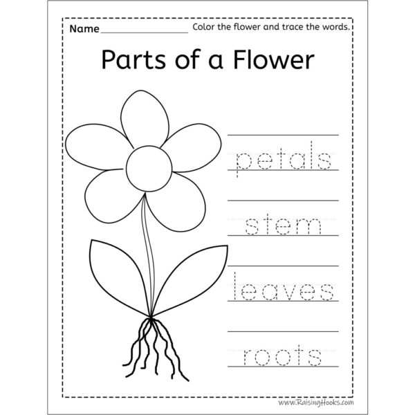 Parts of a Flower Word Trace Raising Hooks