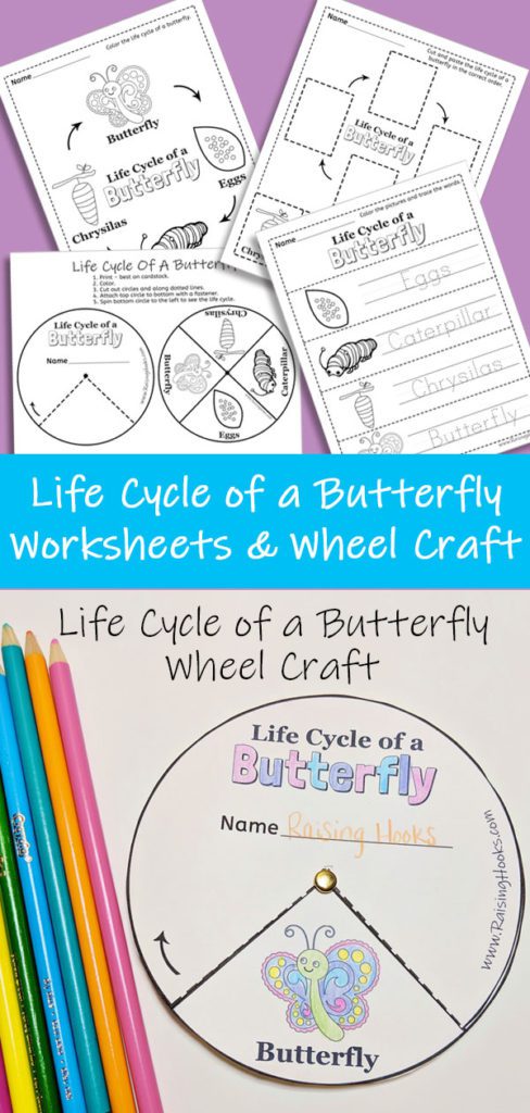 Life Cycle of a Butterfly Worksheets & Wheel Craft - 4 great resources to teach your little one about the transformation of a butterfly. #butterfly #lifecycle #homeschooling #homeschool #print #teaching