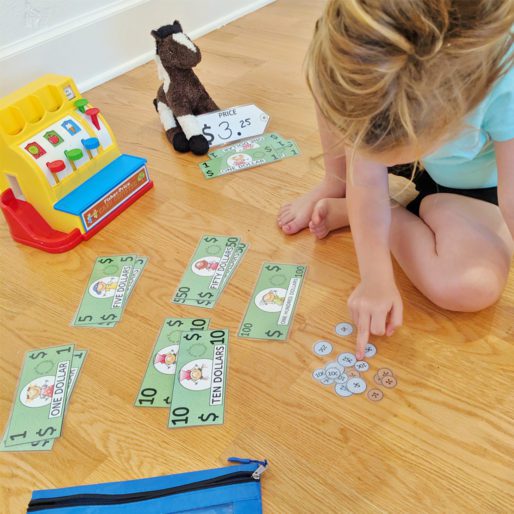 Counting Money Activity Bag