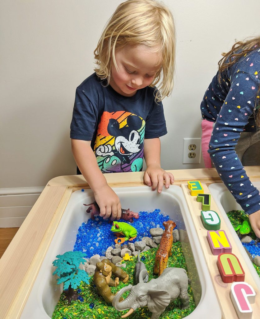 Jungle Sensory Bin - Raising Hooks