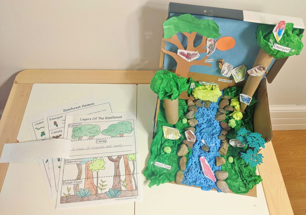 How to Make a Rainforest Diorama by Create Your Balance With Literacy