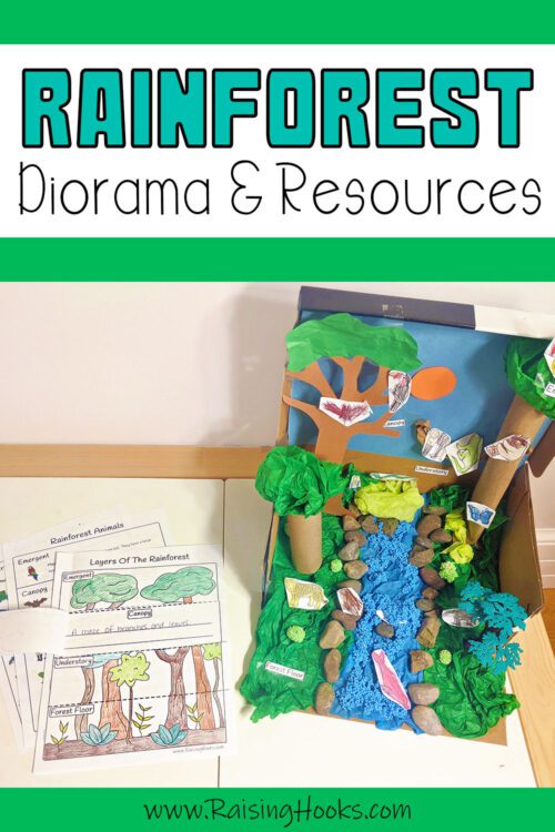 How to Make a Rainforest Diorama by Create Your Balance With Literacy