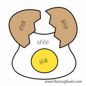 Let’s Build An Egg – E is for Egg - Raising Hooks