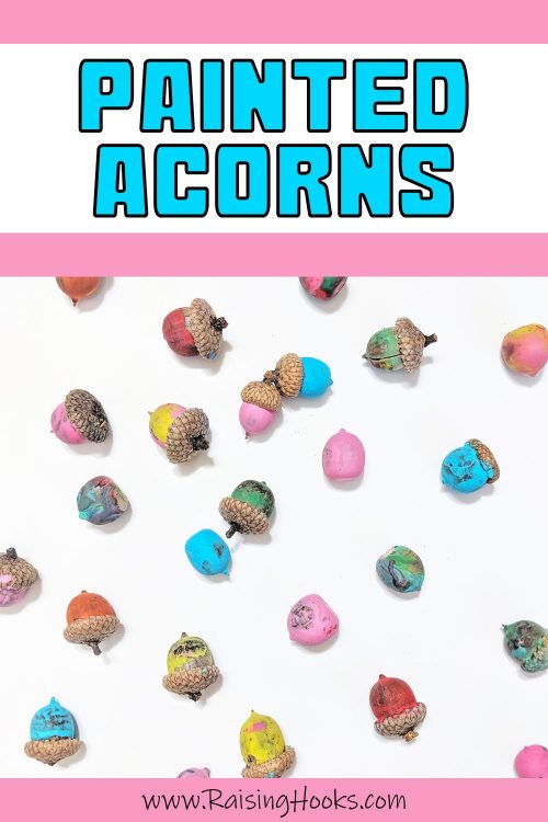 featured pin painted acorns